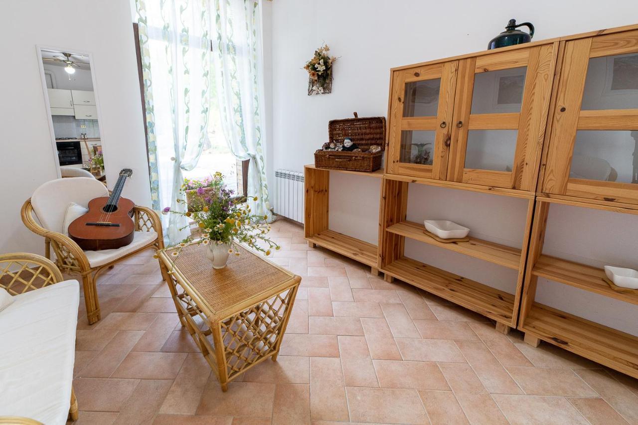 Agriturismo Podere Coldifico 사소페라토 외부 사진