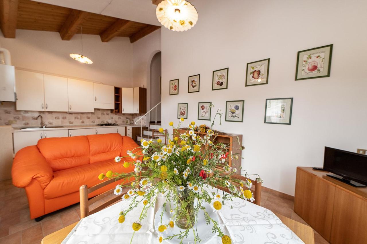 Agriturismo Podere Coldifico 사소페라토 외부 사진