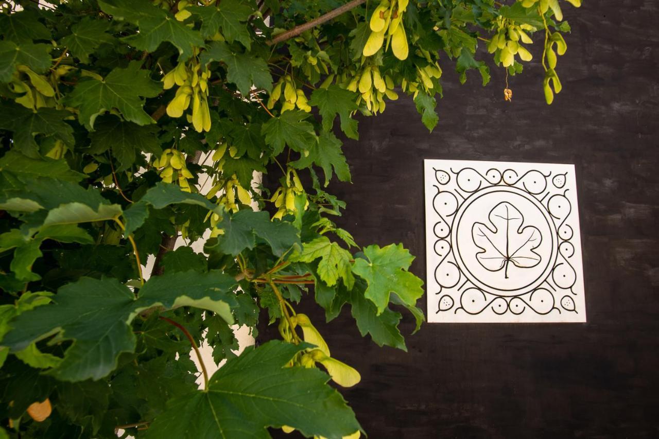 Agriturismo Podere Coldifico 사소페라토 외부 사진