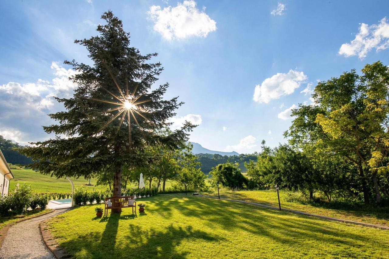 Agriturismo Podere Coldifico 사소페라토 외부 사진