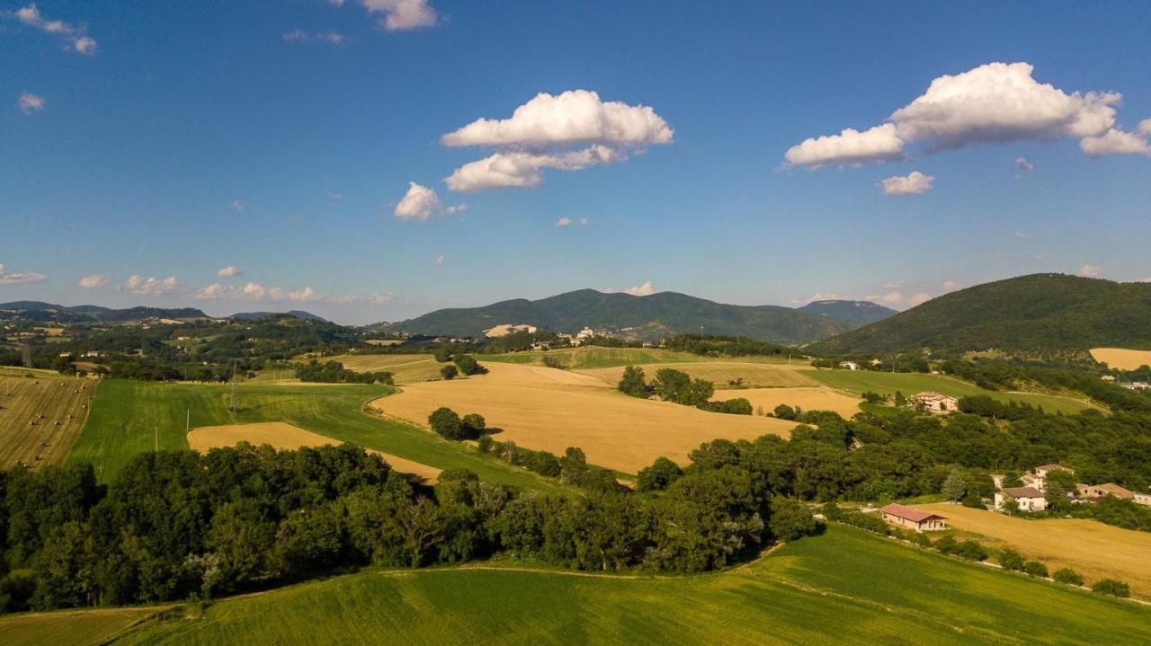 Agriturismo Podere Coldifico 사소페라토 외부 사진